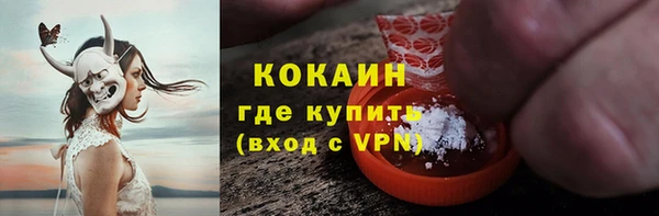 шишки Ладушкин
