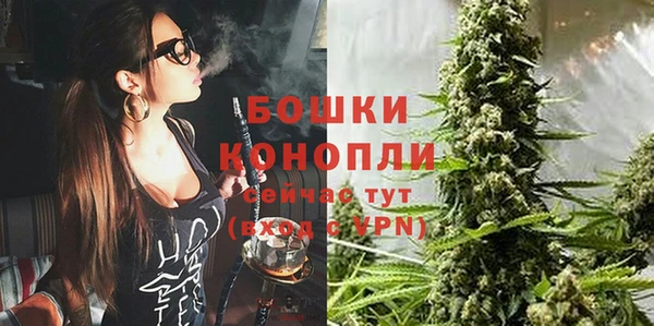шишки Ладушкин