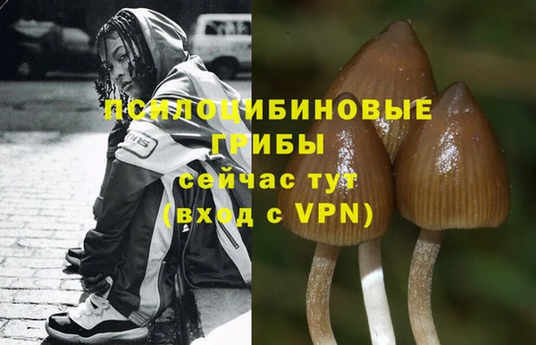 дурь Лабытнанги