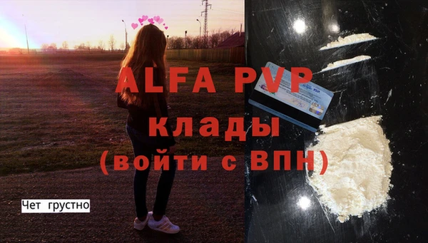 дурь Лабытнанги
