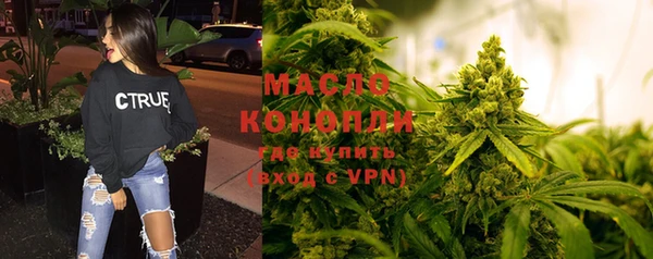 шишки Ладушкин