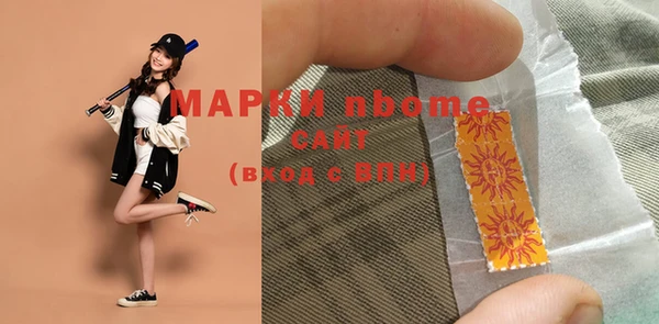 дурь Лабытнанги