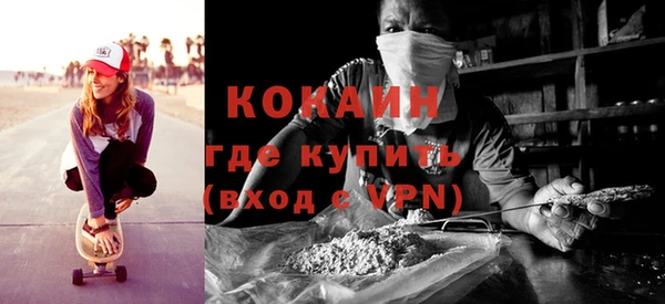 шишки Ладушкин