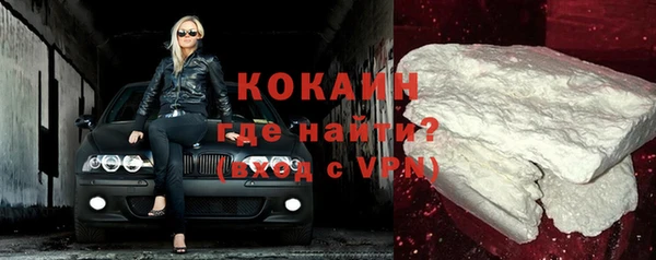 шишки Ладушкин