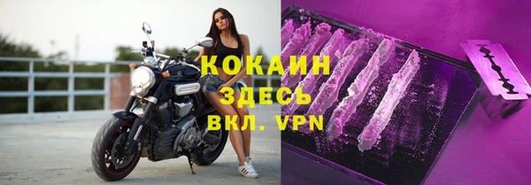 шишки Ладушкин